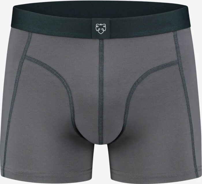 Herren-Unterwaesche-A-dam-Brief-koert_Front