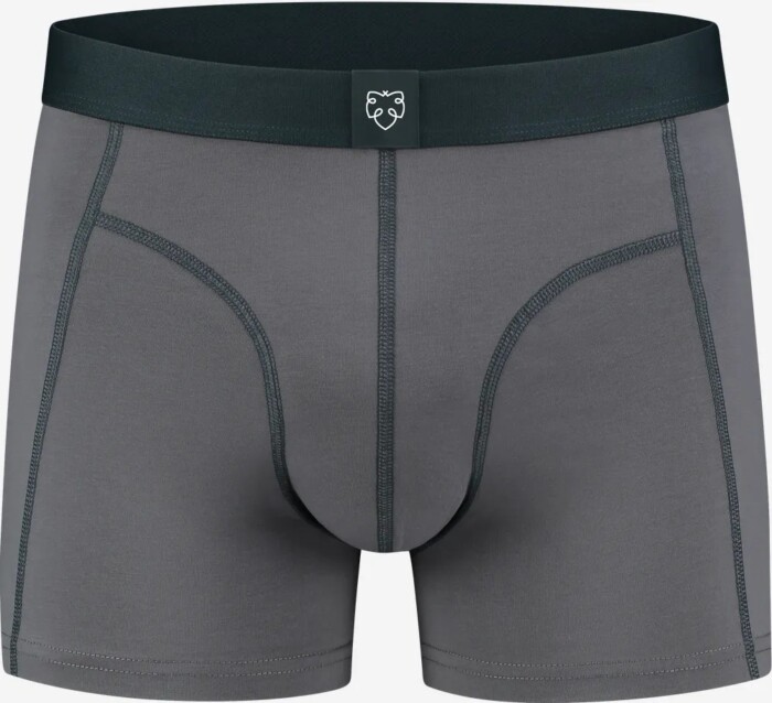 Herren-Unterwaesche-A-dam-Brief-koert_Front